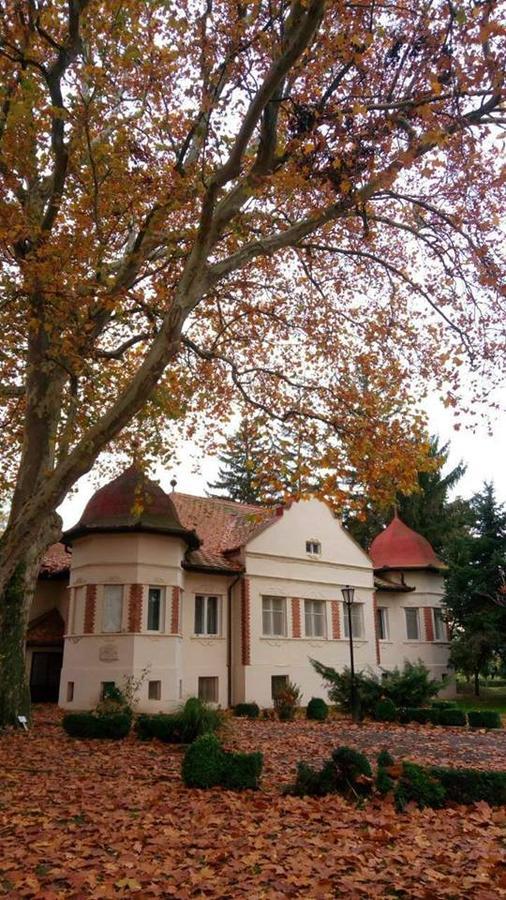 Bed and Breakfast Kastelyszallo Матесалька Экстерьер фото